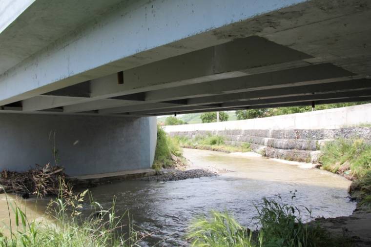 Túlélni a vízözönt