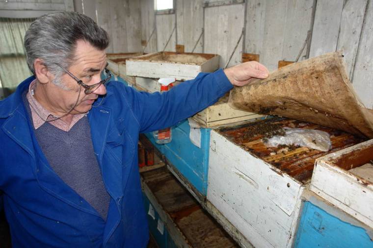 A méhészet folyamatosan fejlődő mezőgazdasági ágazat