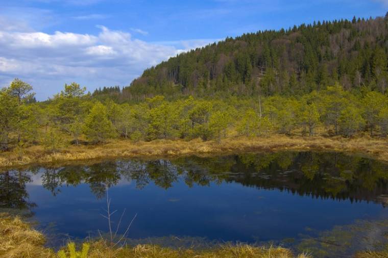 Nevelési akciók a Vizes Élőhelyek Világnapjának jegyében