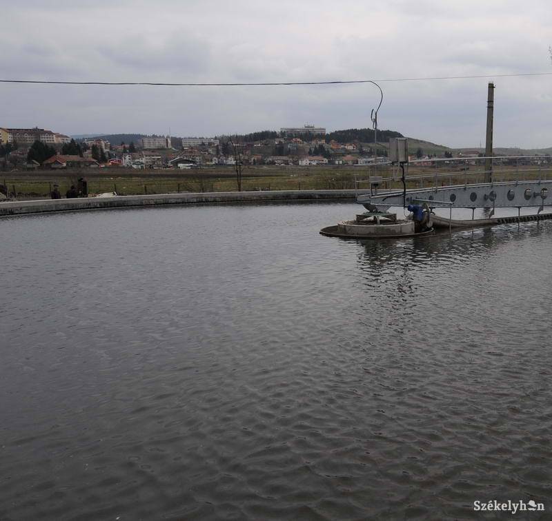 •  Fotó: Kristo Robert                       