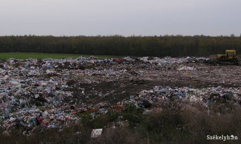 • Fotó: Nagy D. István