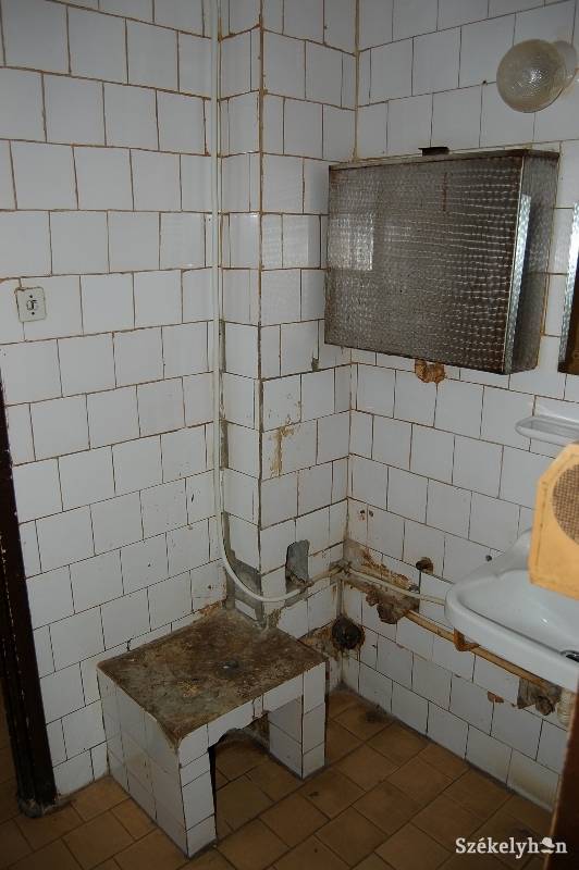 • Fotó: Balázs B. Árpád