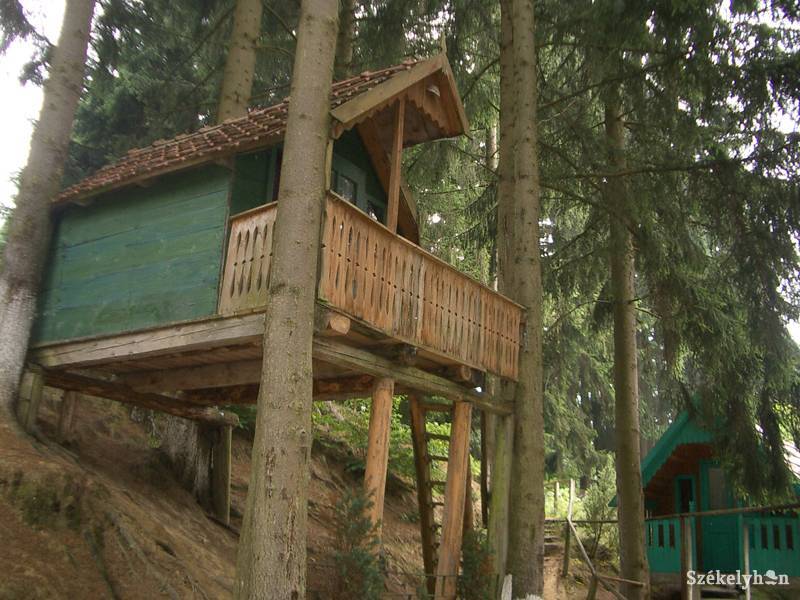 •  Fotó: Bartos Lóránt