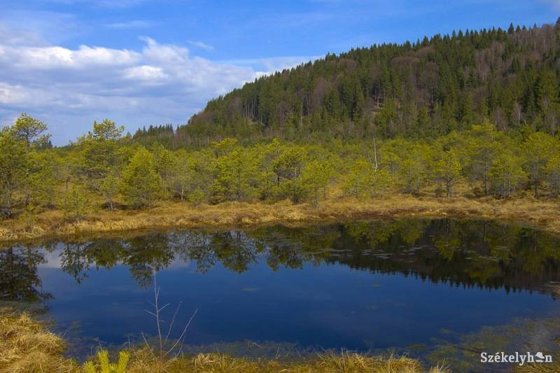 • Fotó: Balázs B. Árpád