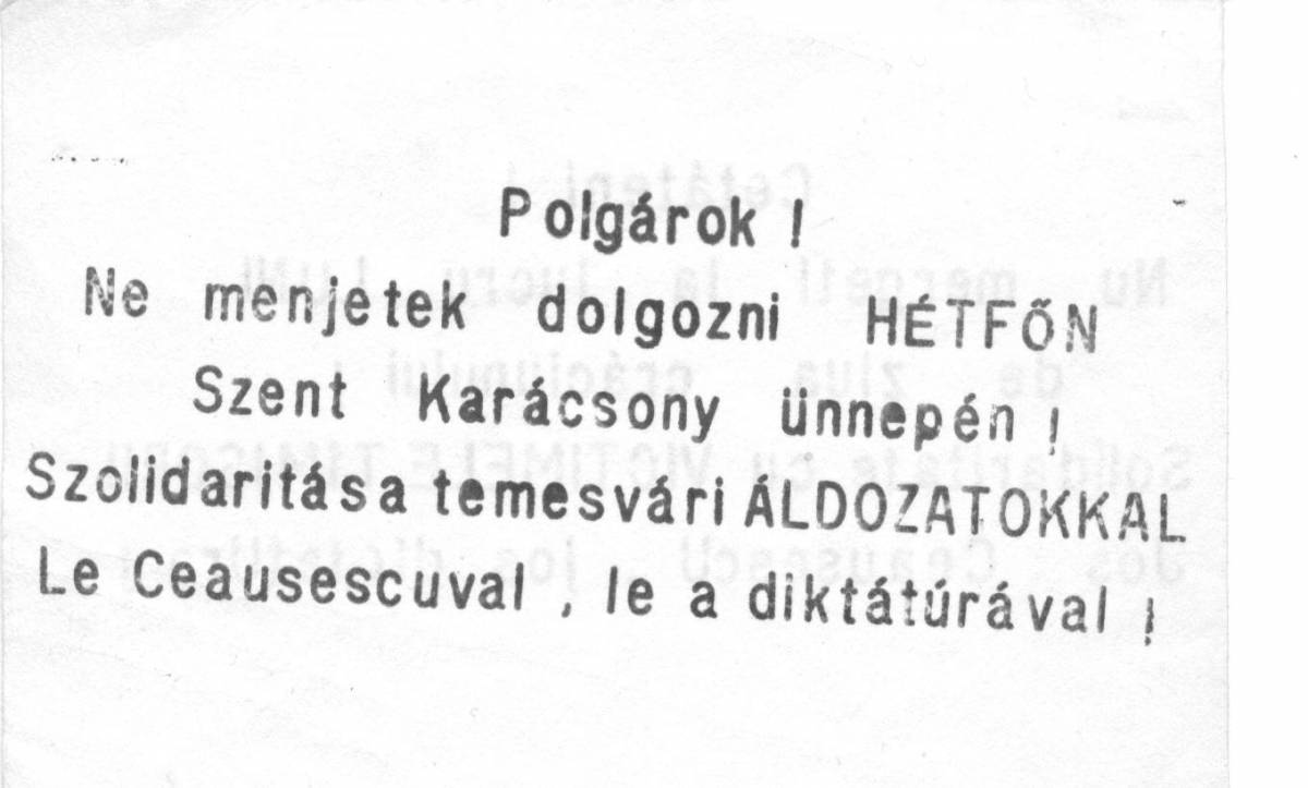 • Fotó: Daczó Katalin