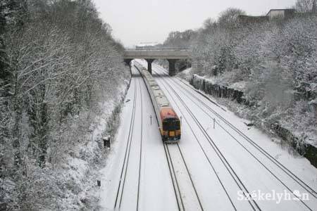 •  Fotó: Nathan Reese