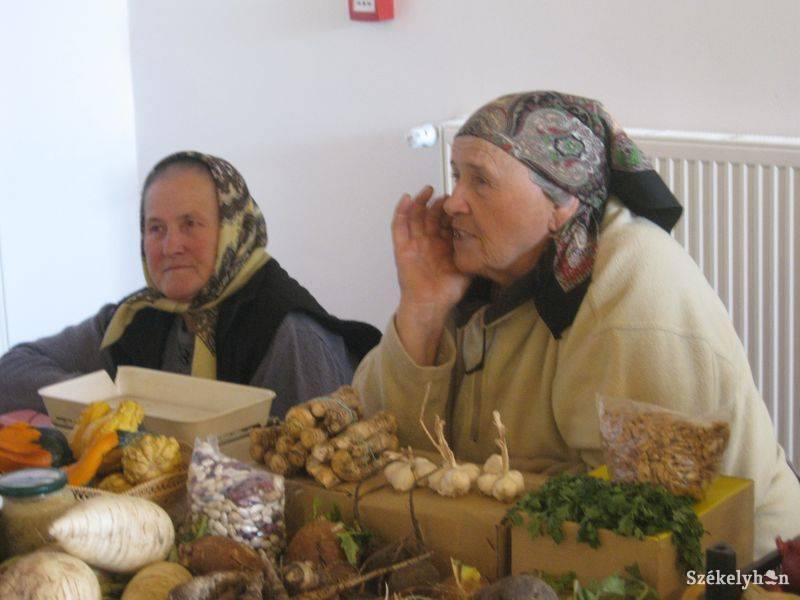 •  Fotó: Gergely Imre