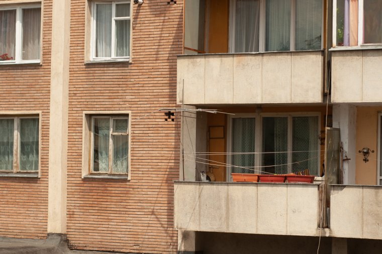 Tehetetlenek a lakók a sok macskát tartó szomszédjukkal szemben