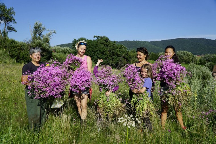 Hagyományőrző kalákában ellesni a népi mesterségek csínját-bínját
