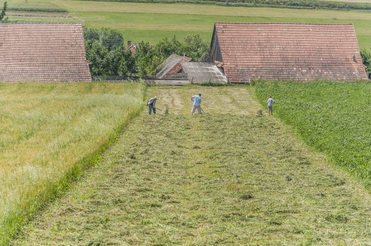 Több földet követelnének meg a támogatást igénylő gazdáktól