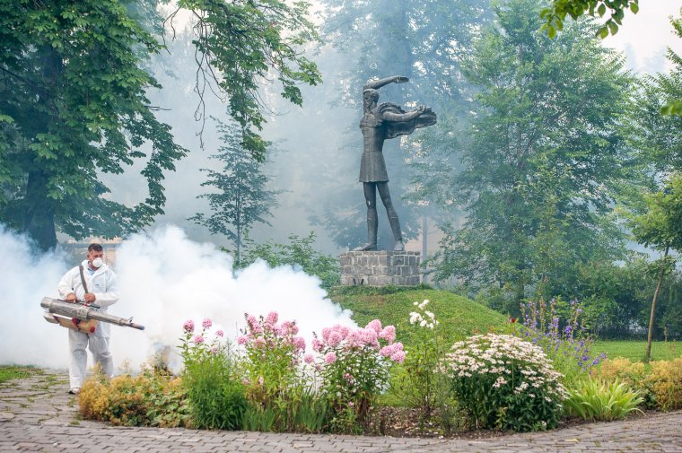 Szúnyoginvázió erdélyi városokban – a kellemetlen tünetek és a fertőzések elkerülése érdekében ajánlott az óvintézkedés