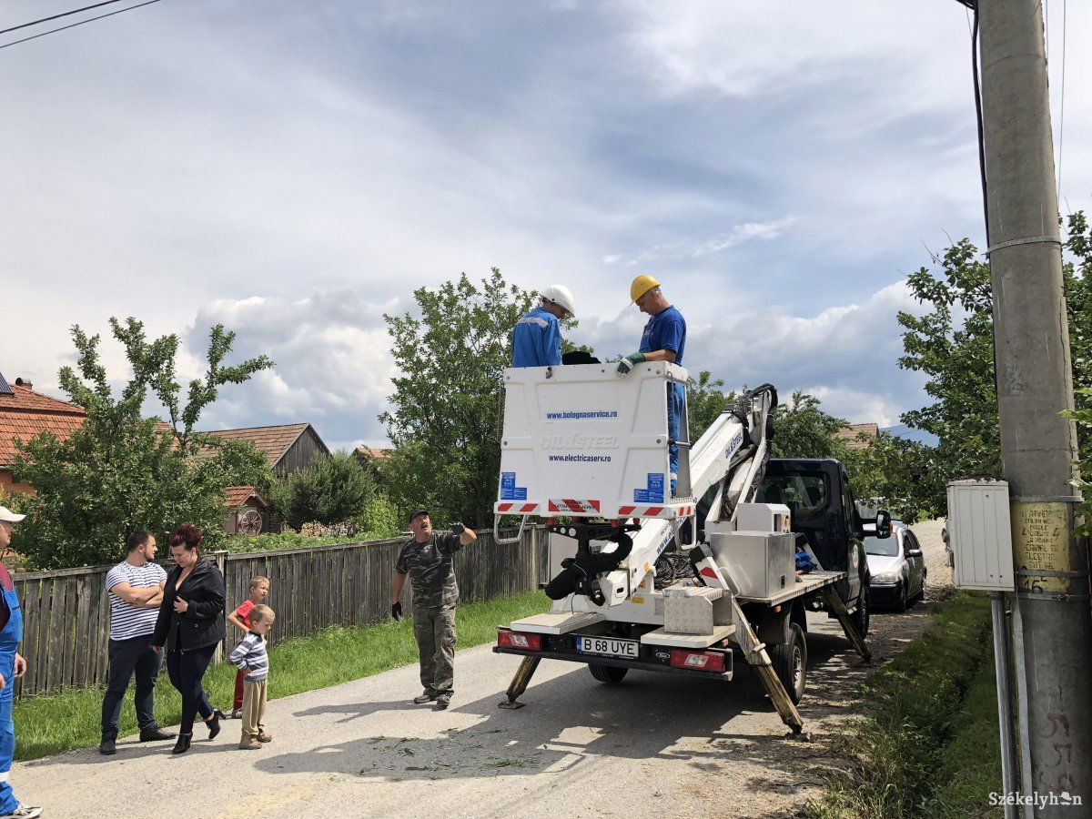Sokan közreműködtek, hogy a két gólyafióka visszakerüljön fészkébe 