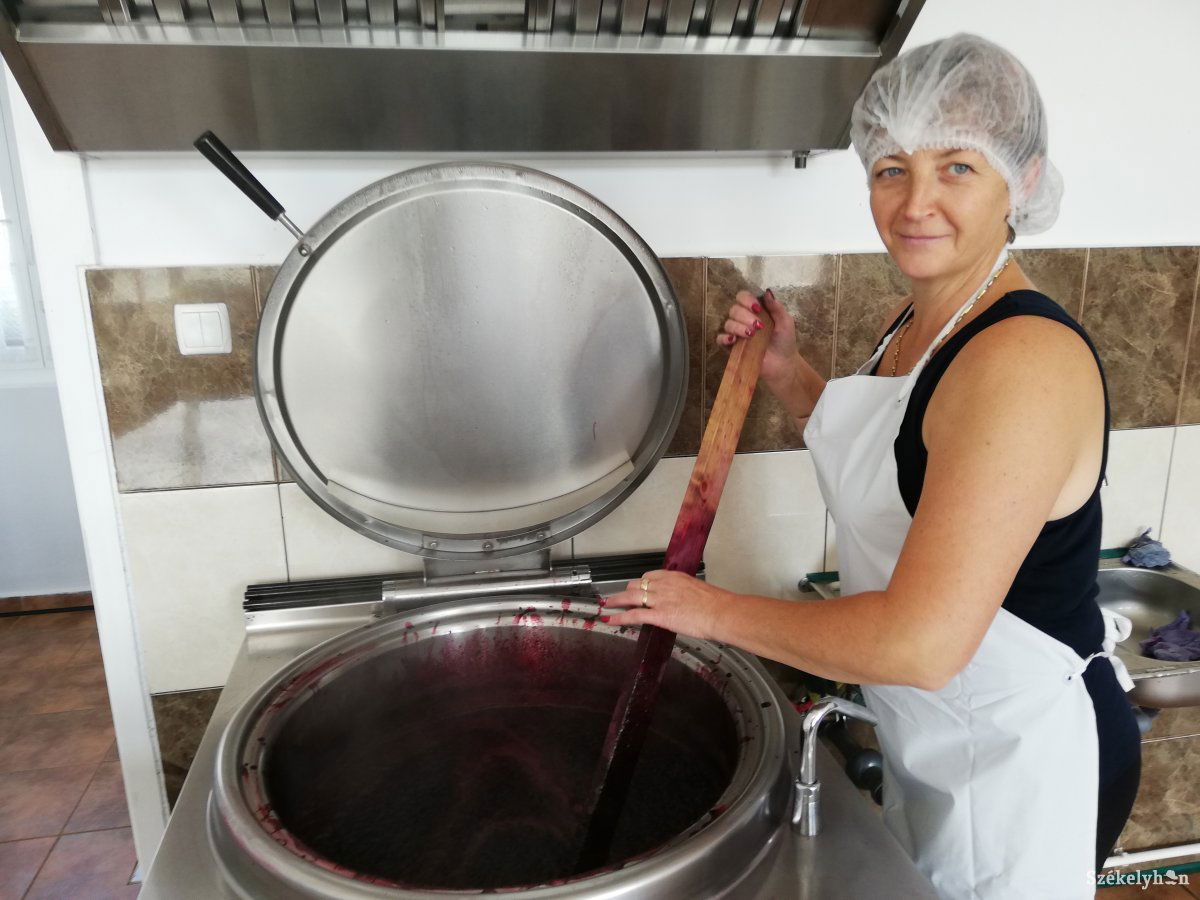100 kg áfonya rotyog a kuktában, elkelne még egy ilyen edény 