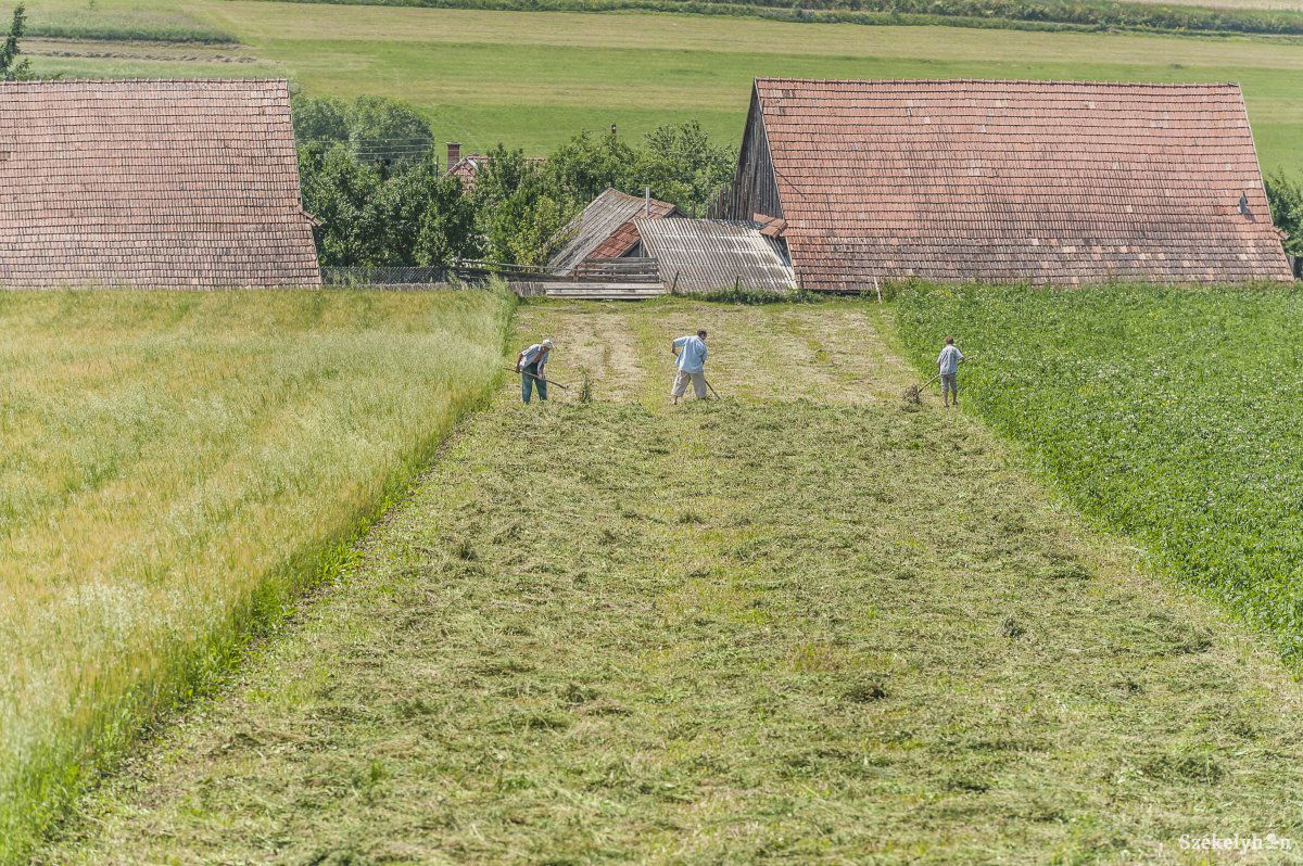 Képünk illusztráció •  Fotó: Veres Nándor