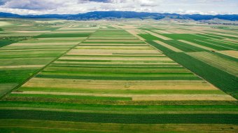 Drágult idén a termőföld hektáronkénti átlagára Romániában
