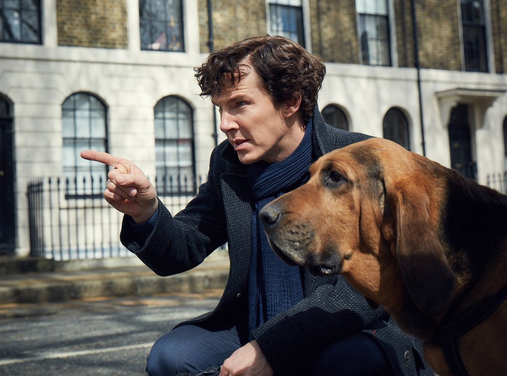 Az akkor még sztársága elején levő Benedict Cumberbatch is Sherlock bőrébe bújt a BBC-sorozatában •  Fotó: BBC