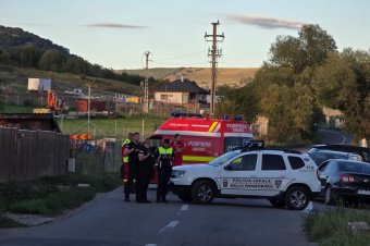 Fényes nappal ment be a medve Székelyudvarhelyre, órákba került elkergetni