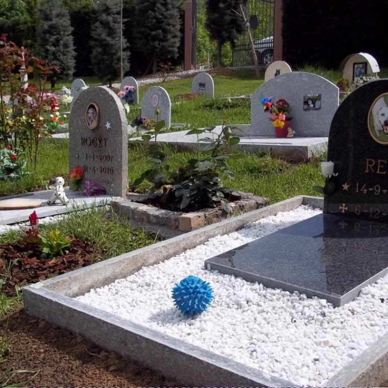 Temetőt hoznak létre házi kedvencek számára Kolozsváron
