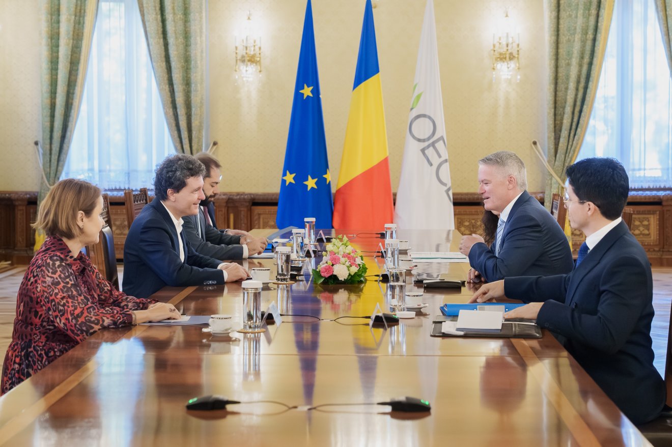 OECD, Nicușor Dan