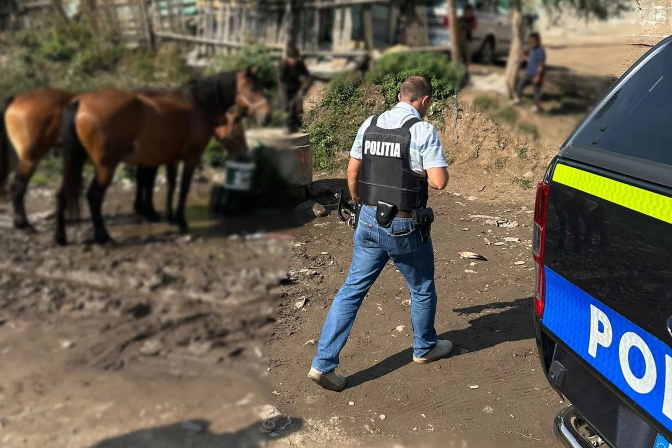 •  Fotó: Hargita megyei rendőrség