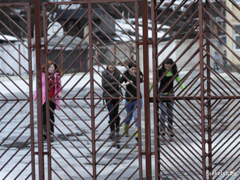 &bullet;  Fotó: Kristo Robert                       