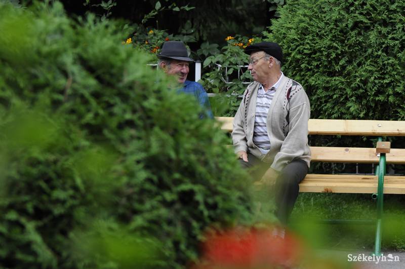 •  Fotó: Kristo Robert                       