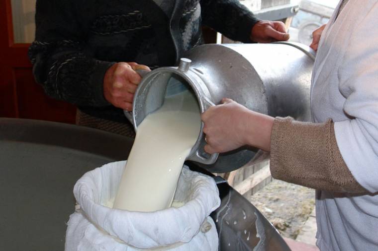 Fontos a tejkvóta-nyilatkozat