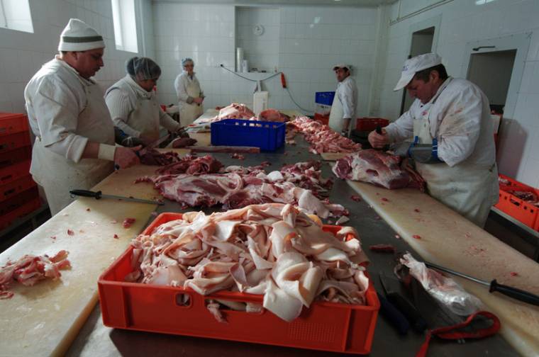 Egyelőre nem lesznek kis vágóhidak