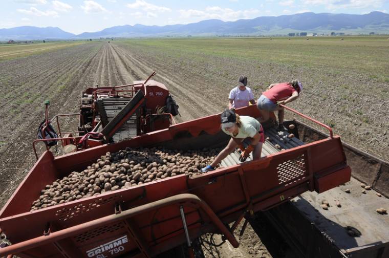 Bizonylat mentheti meg a gazdákat