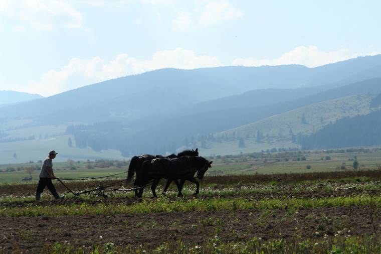 Újabb előleget kapnak a gazdák