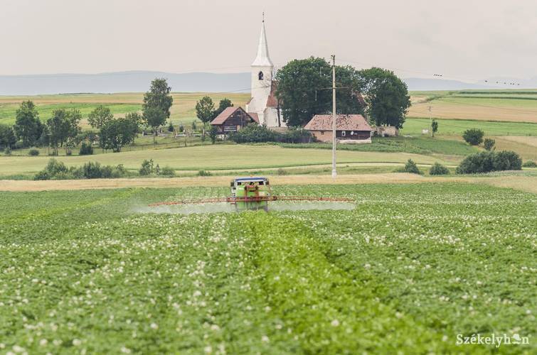 Szórni kell. Szakértők szerint képtelenség ellátni a Föld lakosságát csupán biotermesztésből 