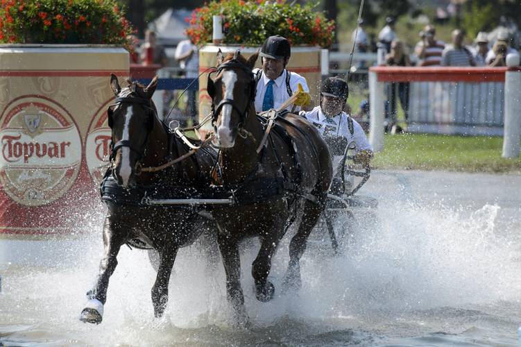 Fogathajtó vb után: nincs idő megállni