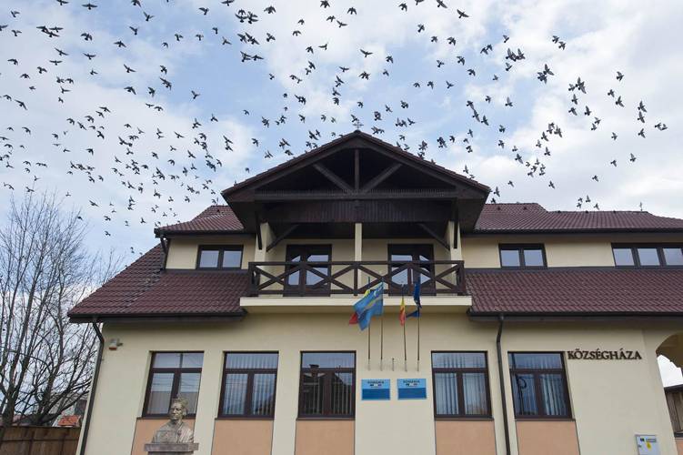 Trendfüggő anyanyelvhasználat – pénzügyi és jogértelmezési gondok nehezítik a törvény alkalmazását