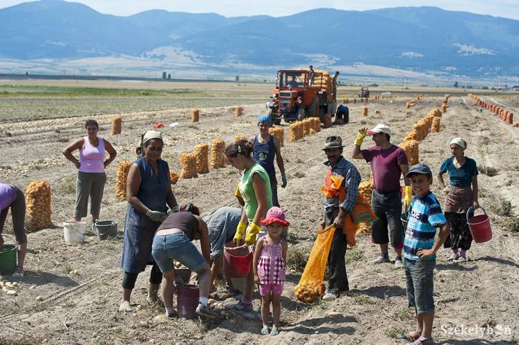 2019-től csak a mezőgazdaságban és az ehhez kapcsolódó ágazatokban alkalmazhatnak idénymunkásokat