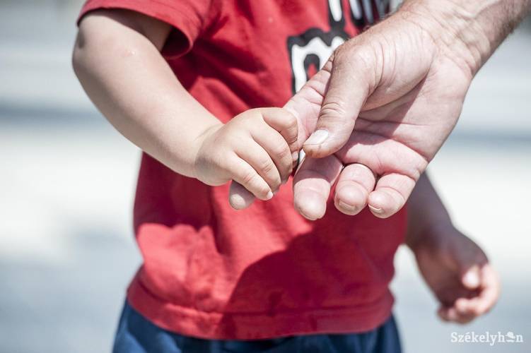 A kormány indoklása szerint célravezetőbb a gyermekjogvédelmi és örökbefogadási kérdéseket külön területként kezelni 