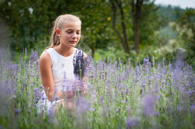 Levendulafesztivál először