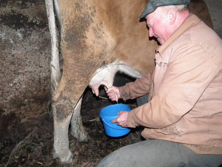 Kinek tejel a tejipar?