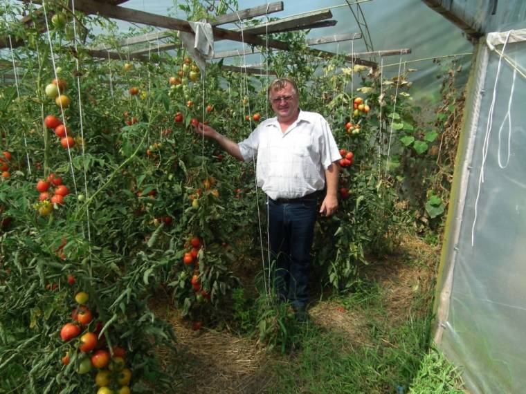 A magyar piacba tagozódna az erdélyi gazdaszövetkezet