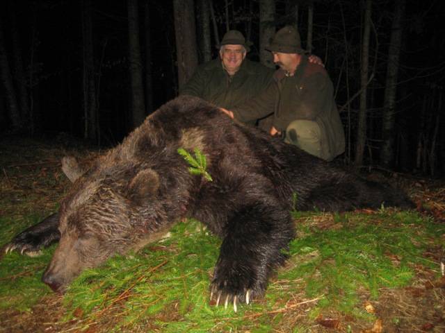 Medveuralom a Kárpátokban