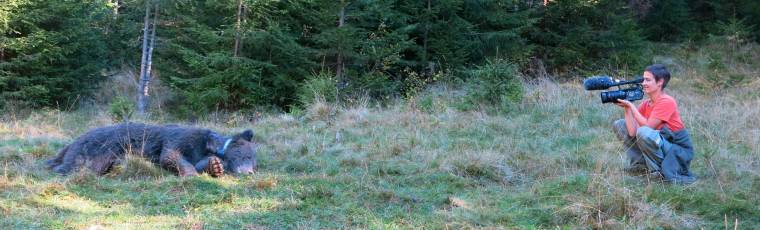 Természetvédelem gyönyörű képekben