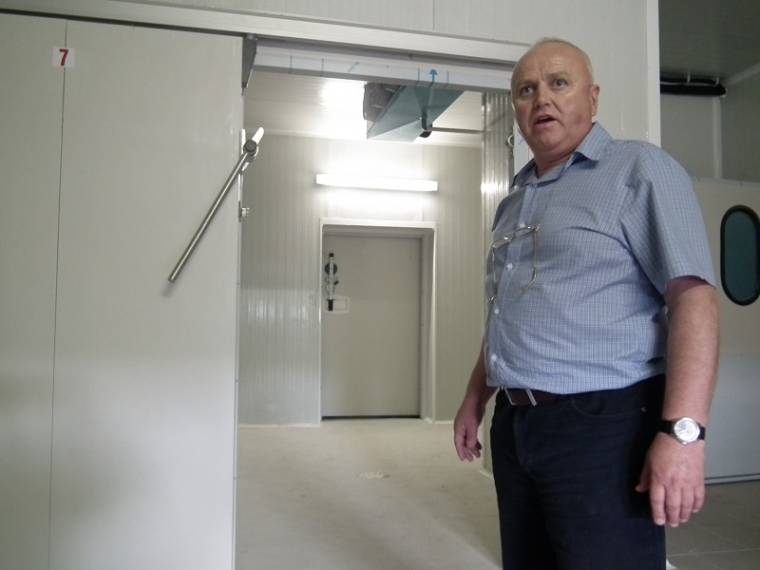 Fejjel és fejhússal