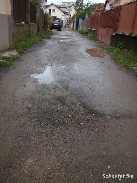 • Fotó: Dénes Ida