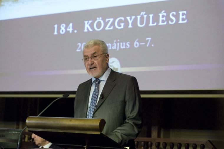 Akadémiai elismerés a Sapientia volt tanárának