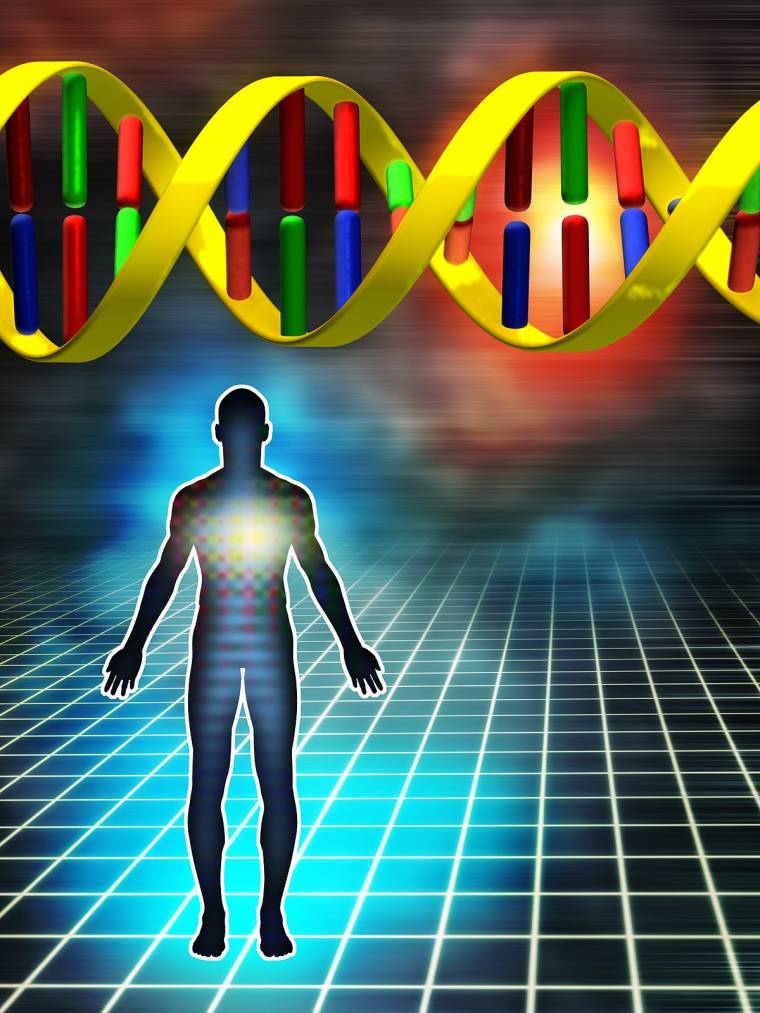 Immunológusok kaptak orvosi Nobel-díjat