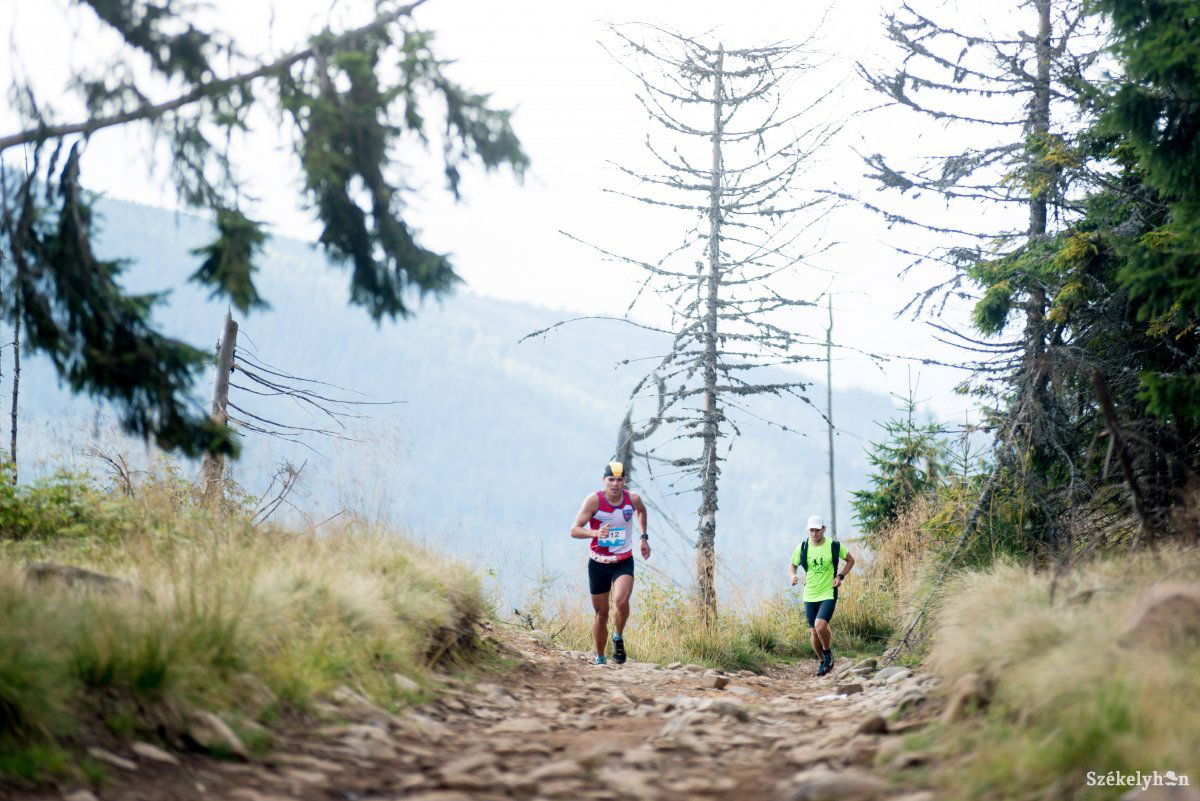 Több mint négyszáz versenyző futott a Madarasi Hargitán a hatodik alkalommal megrendezett Hargita Trail Running terepfutóversenyen 2018. augusztus 25-én •  Fotó: Veres Nándor