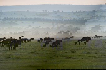 „Csúcshideggel” indult a tanév Csíkban