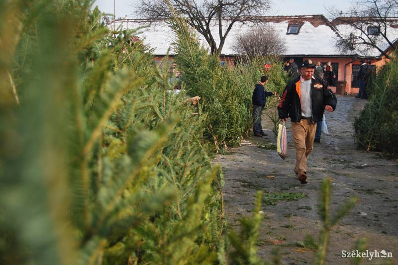 &bullet;  Fotó: Bodnár Arthur