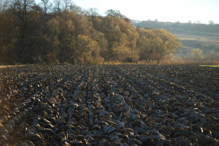 Sikeres lesz a mezőgazdasági összeírás