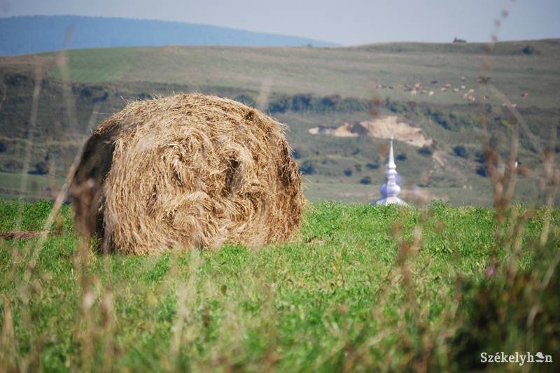 •  Fotó: Bodnár Arthur