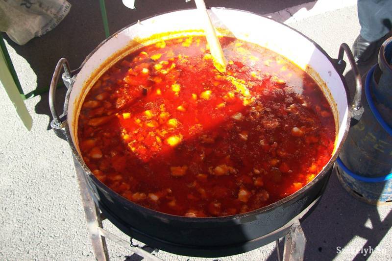 •  Fotó: Antalfi József